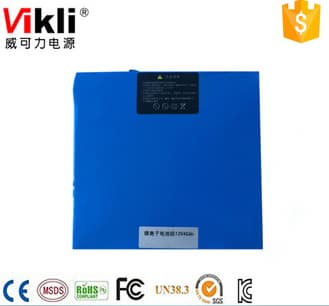 Lithium Ion Battery 24V20AH For Solar Power System